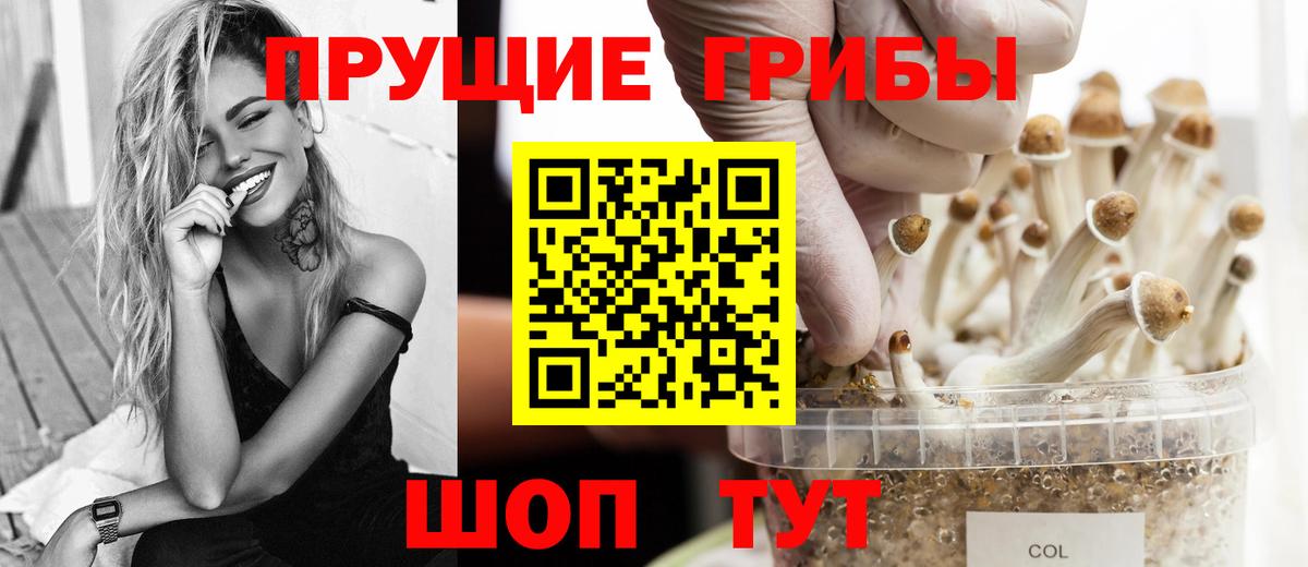 Псилоцибиновые грибы Magic Shrooms Тейково