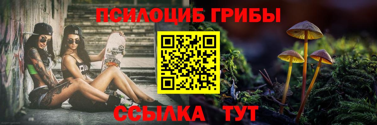 Галлюциногенные грибы MAGIC MUSHROOMS  продажа наркотиков  Тейково  Вход с VPN 
